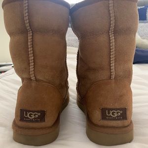 Chestnut UGGS